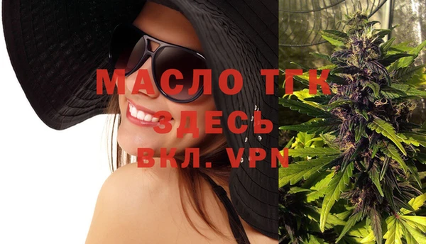 крисы Верхний Тагил