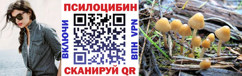 Псилоцибиновые грибы Magic Shrooms  блэк спрут маркетплейс  Энгельс  где можно купить  